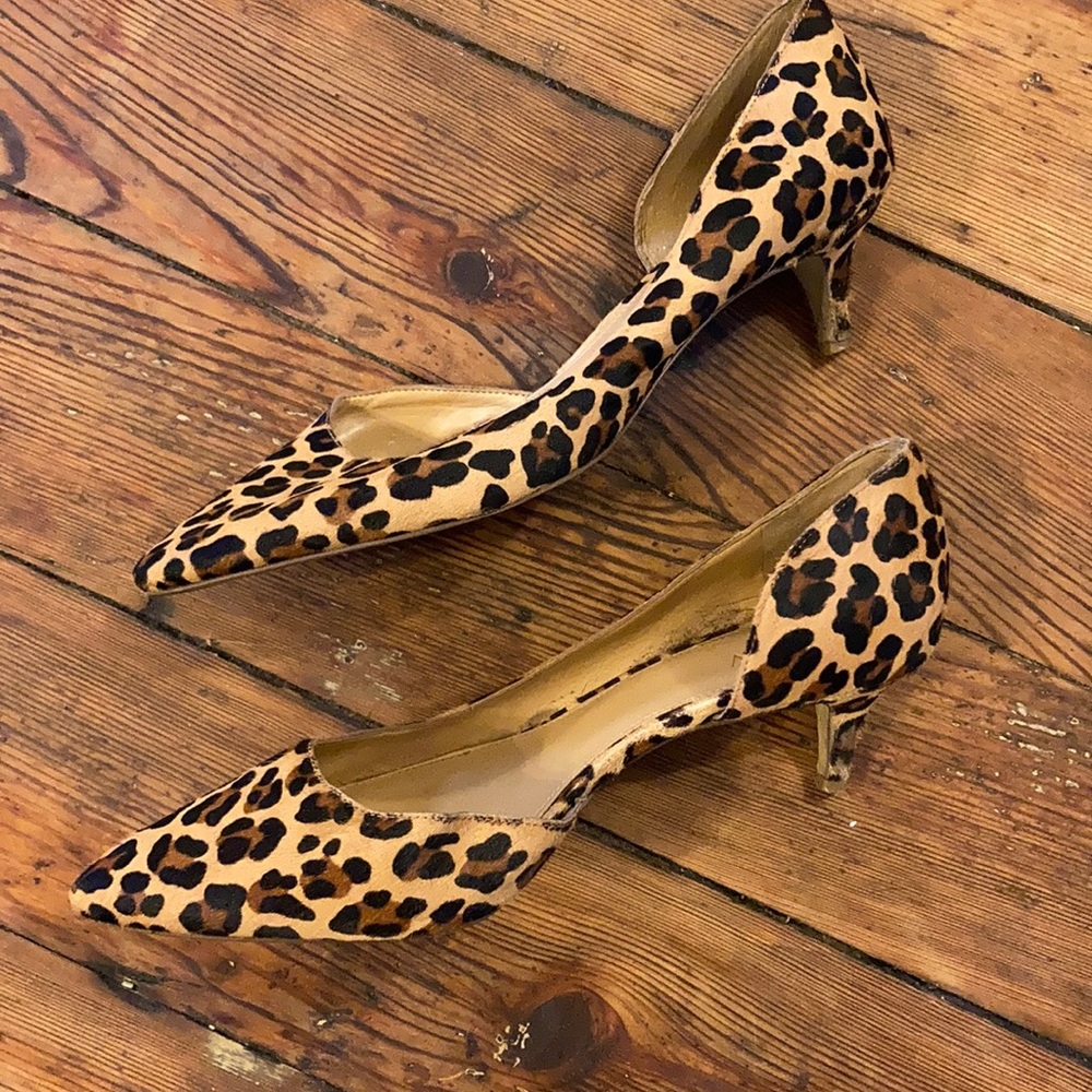 Leopard print kitten heals